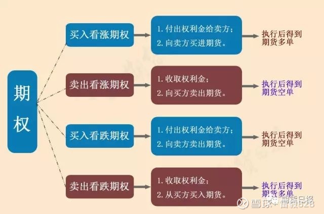 货币期权又称为(货币期权交易概念)
